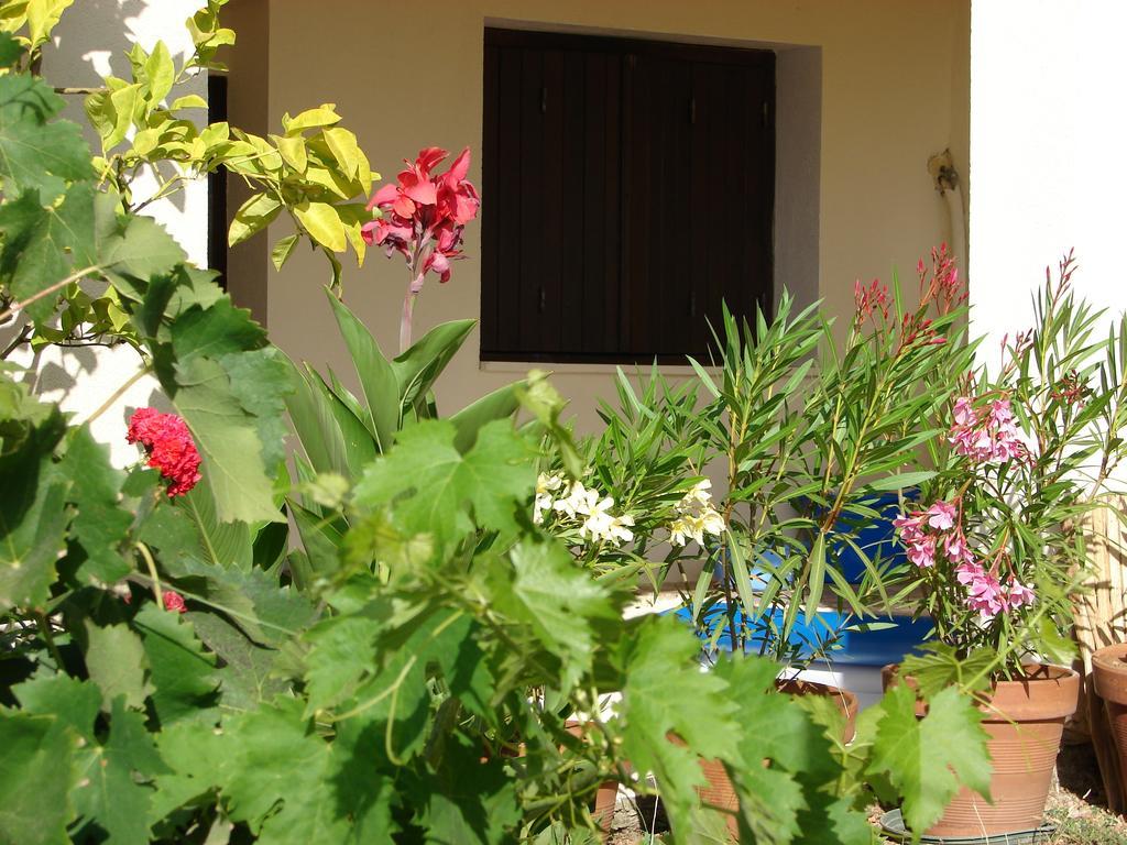 Le Gite Radica Eccica-Suarella  Bilik gambar